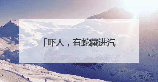 吓人，有蛇藏进汽车引擎盖！北京9天接9起“蛇警”